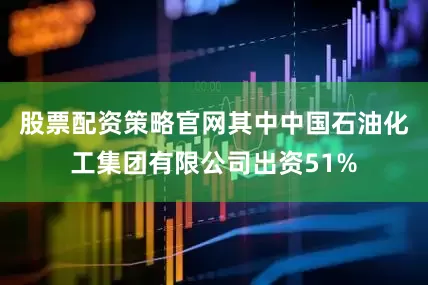 股票配资策略官网其中中国石油化工集团有限公司出资51%