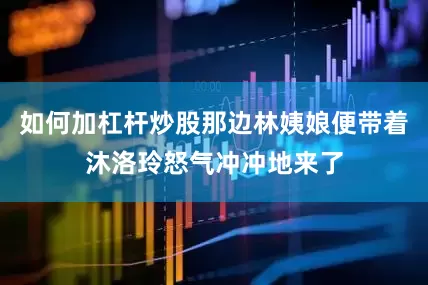 如何加杠杆炒股那边林姨娘便带着沐洛玲怒气冲冲地来了
