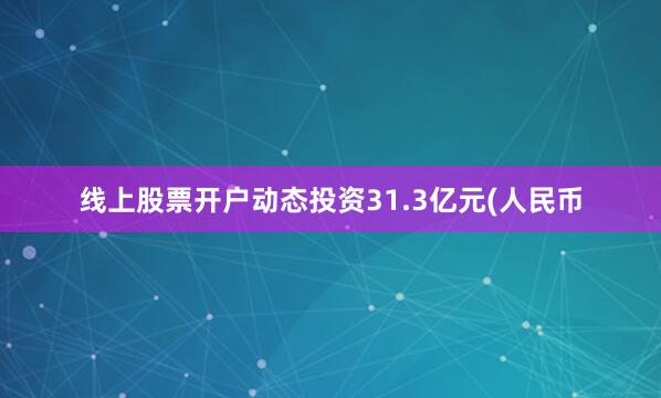 线上股票开户动态投资31.3亿元(人民币
