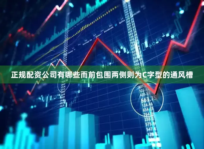 正规配资公司有哪些而前包围两侧则为C字型的通风槽